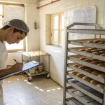 ¿Y ahora qué? Descubre cómo seguir fortaleciendo la calidad en tu empresa después de ISO 9001